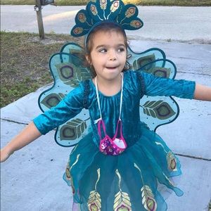Gymboree peacock Halloween costume(5-6)